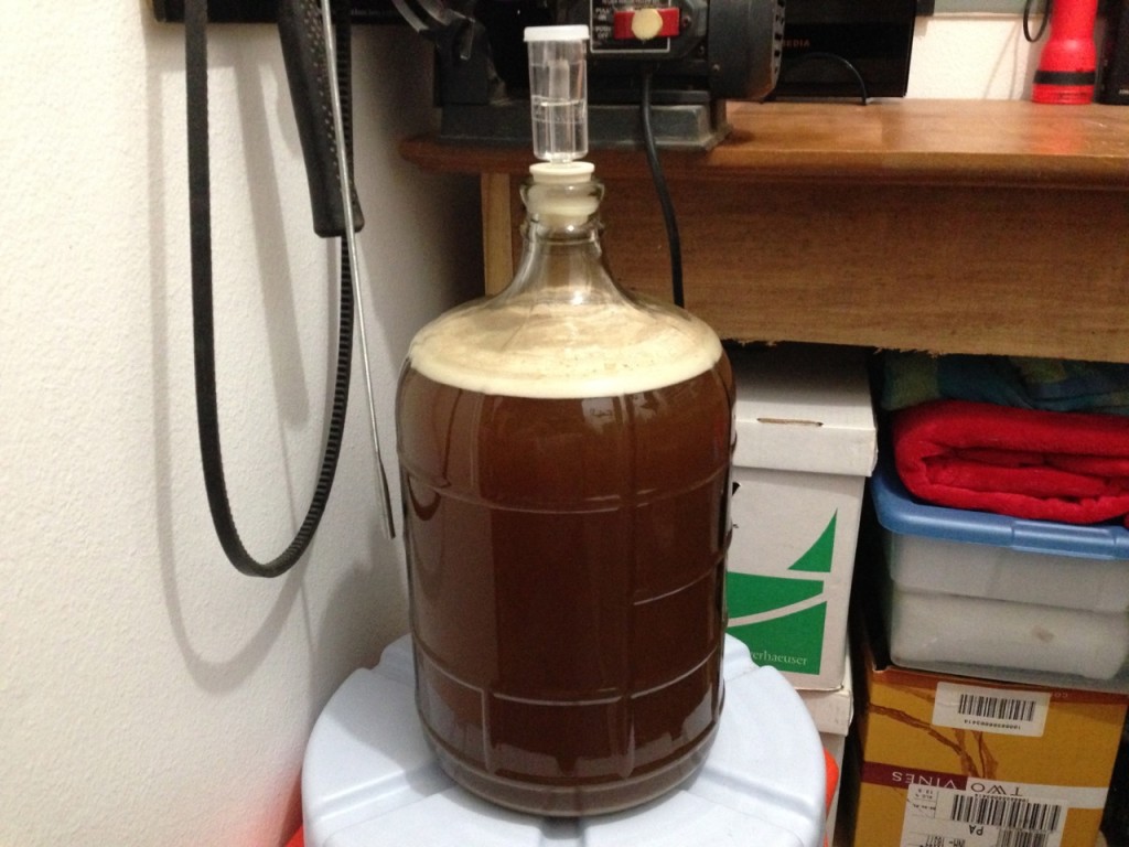 Cider fermenting with wild yeast