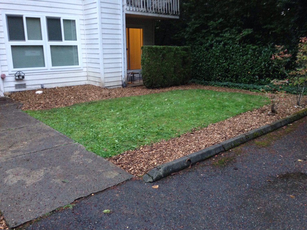 Brand new yard