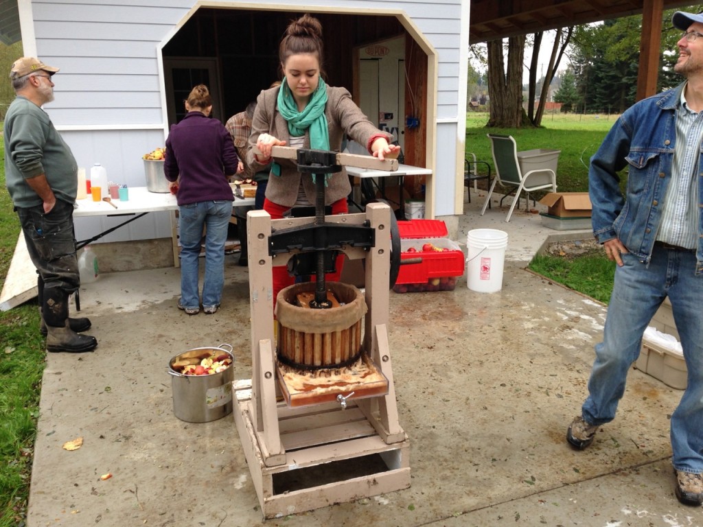 Pressing the pomace
